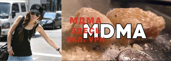 индика Богородицк