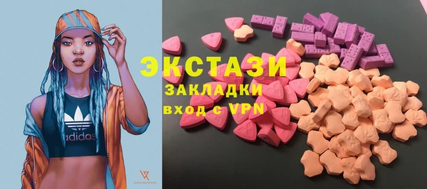 индика Богородицк