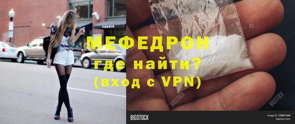 индика Богородицк