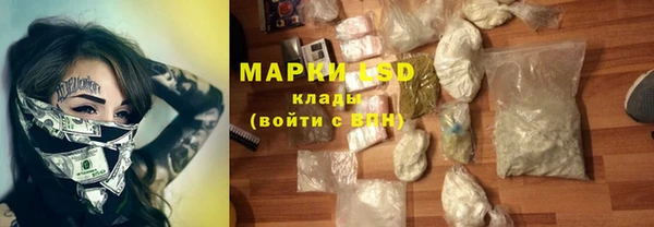 индика Богородицк