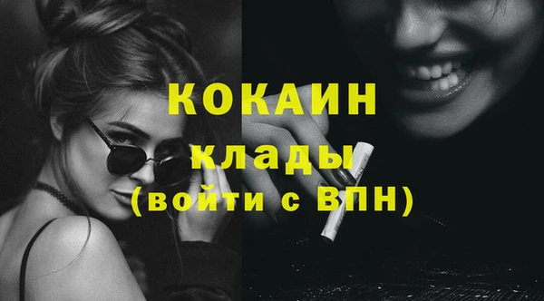 индика Богородицк