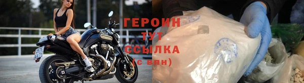 индика Богородицк