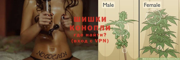 сатива Богданович
