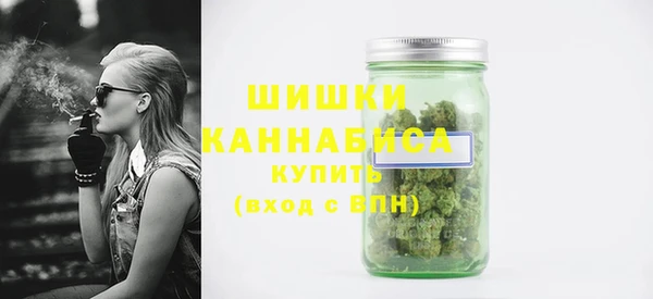 сатива Богданович