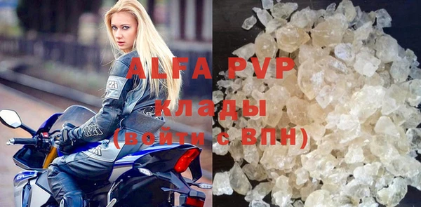 сатива Богданович