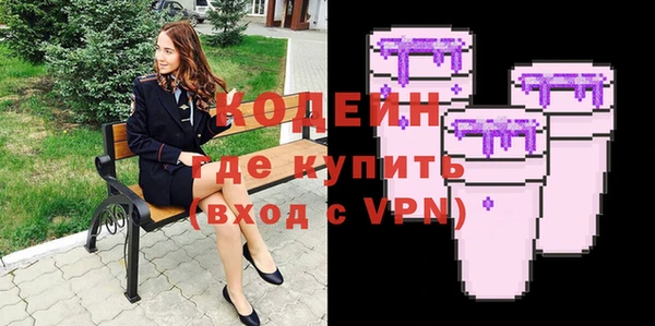индика Богородицк