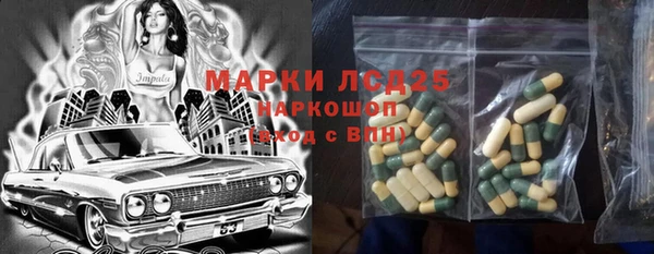 индика Богородицк