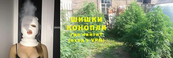 сатива Богданович