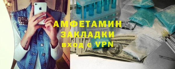 индика Богородицк