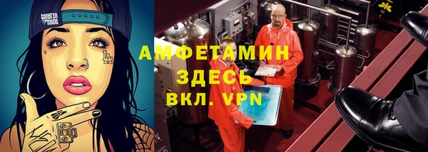 сатива Богданович