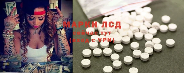 индика Богородицк