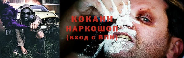 индика Богородицк