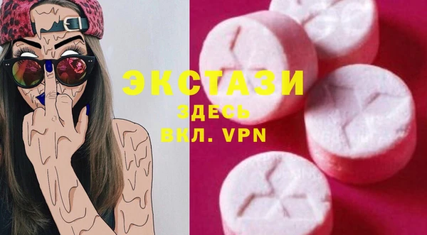индика Богородицк