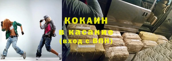 сатива Богданович